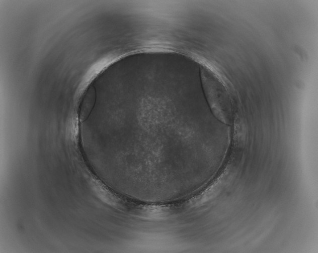 X0000112931461200909071023