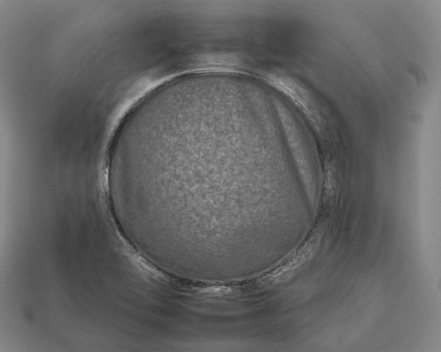 X0000112931462200909071023