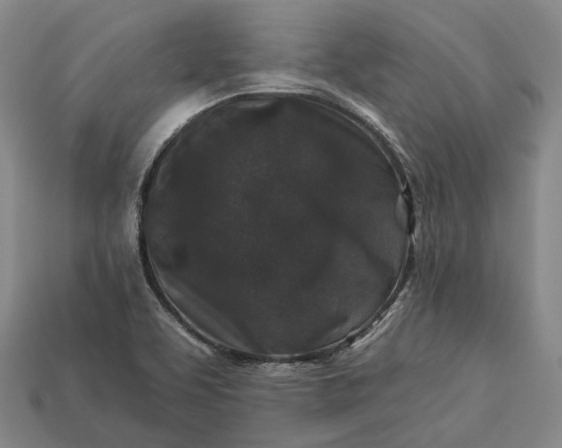 X0000112931463200909071023