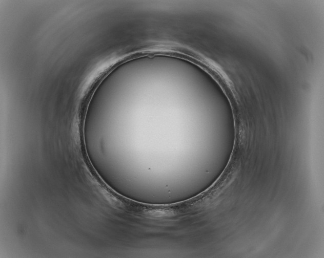 X0000112931464200909071023