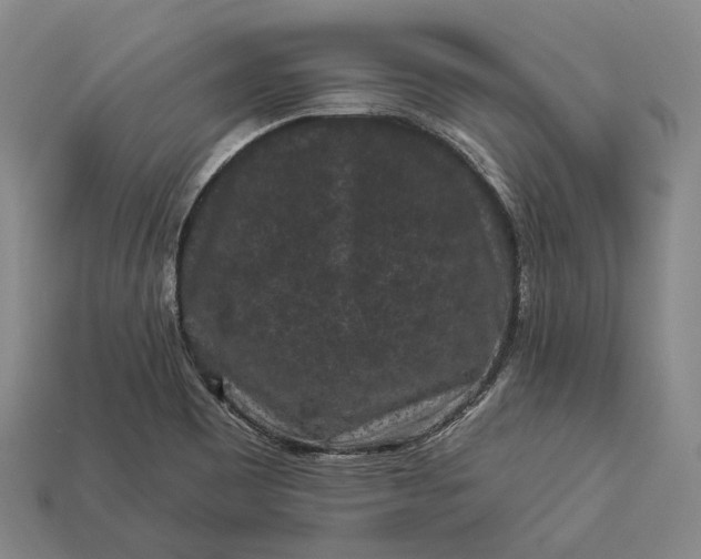 X0000112931465200909071023