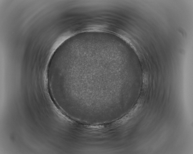 X0000112931466200909071023