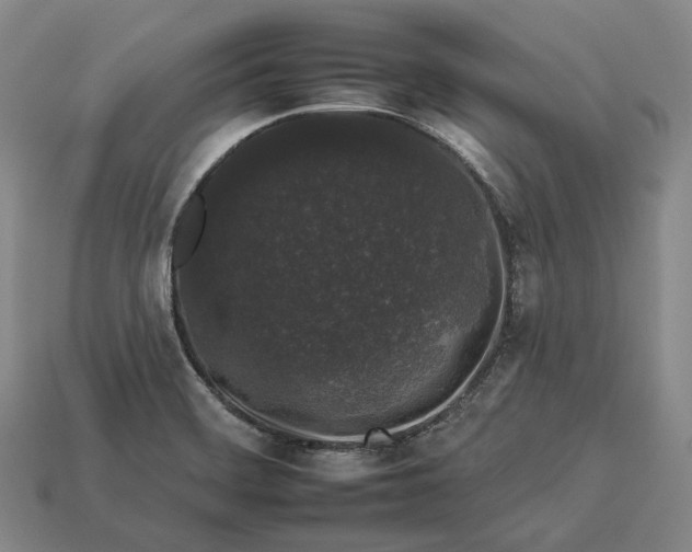 X0000112931468200909071023