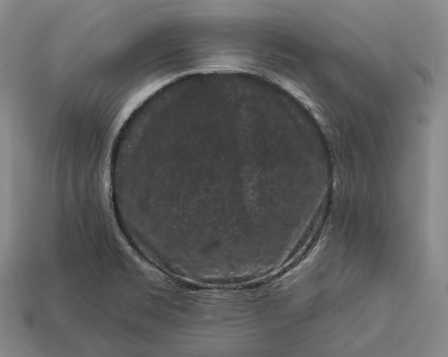 X0000112931469200909071023