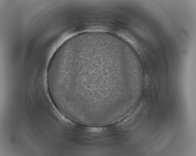 X0000112931470200909071023