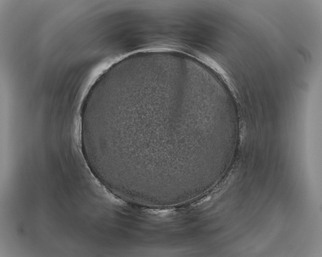 X0000112931472200909071023