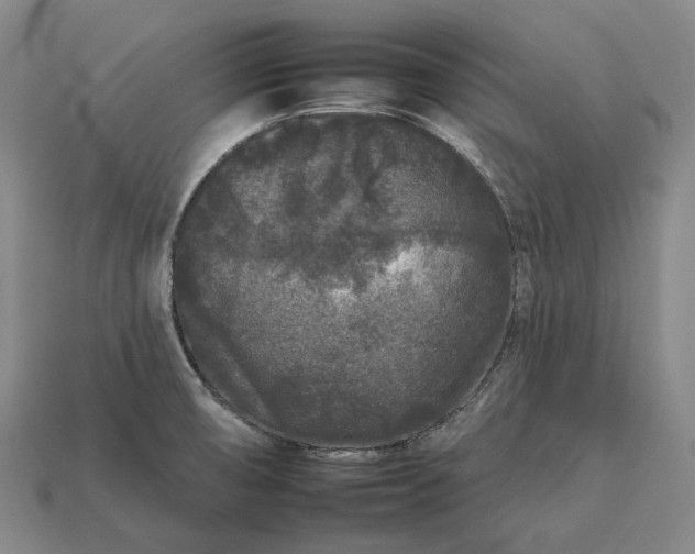 X0000112931474200909071023