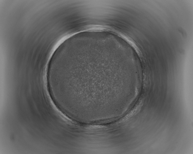 X0000112931475200909071023