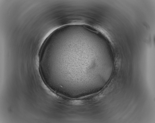 X0000112931476200909071023