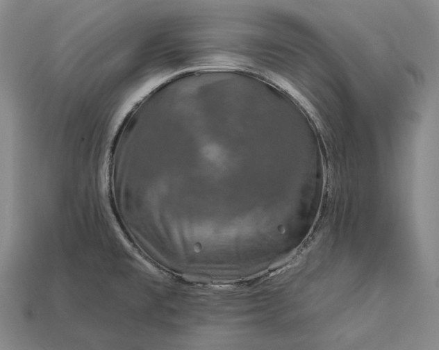 X0000112931477200909071023