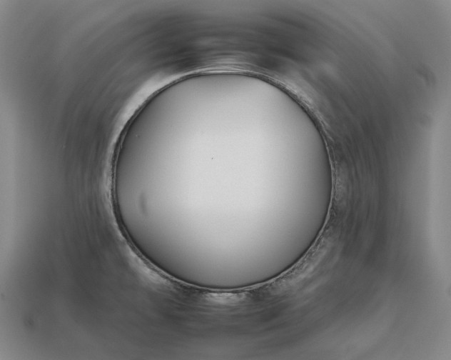 X0000112931478200909071023