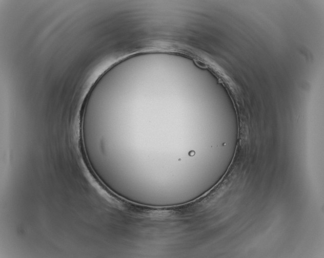 X0000112931479200909071023