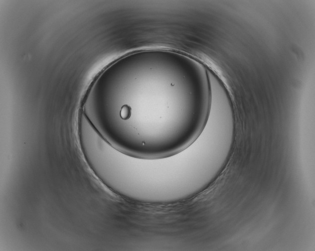 X0000112931480200909071023