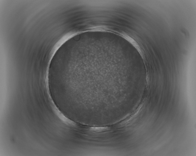 X0000112931482200909071023