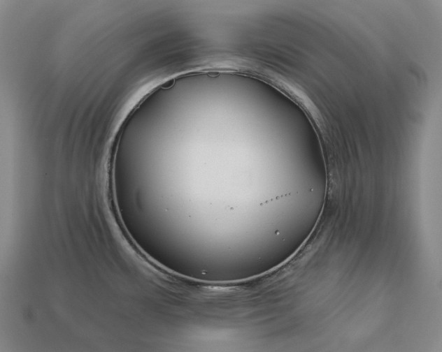 X0000112931483200909071023