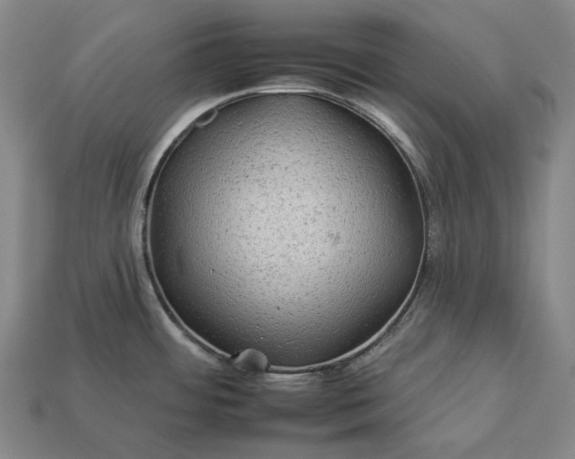 X0000112931484200909071023