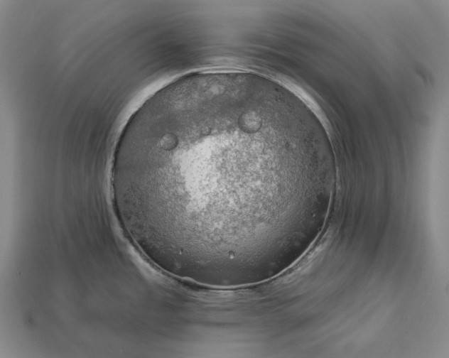 X0000112931485200909071023