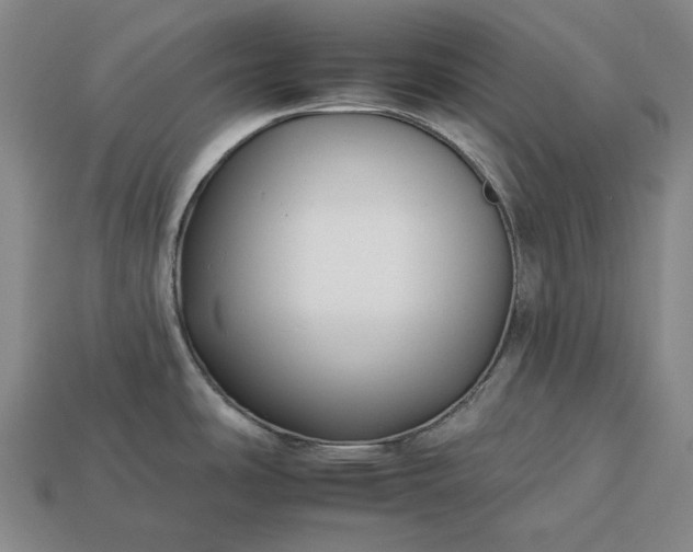 X0000112931486200909071023