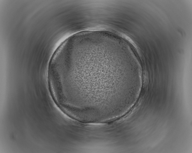 X0000112931487200909071023