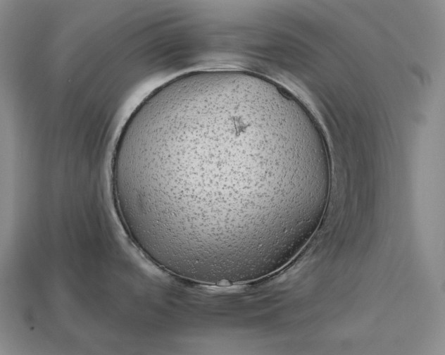 X0000112931488200909071023