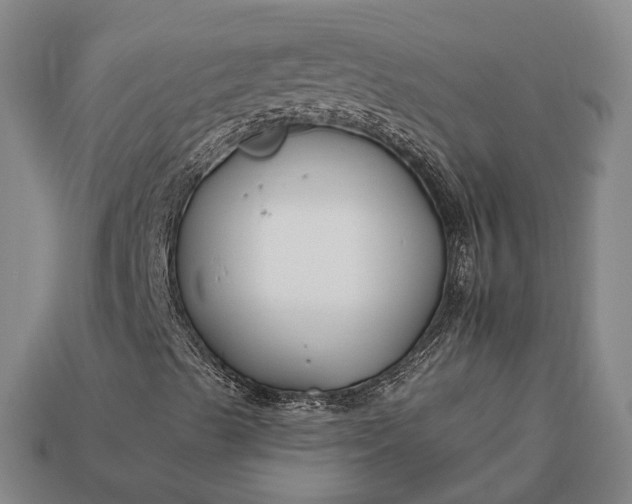 X0000112931489200909071022