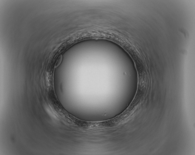 X0000112931490200909071022