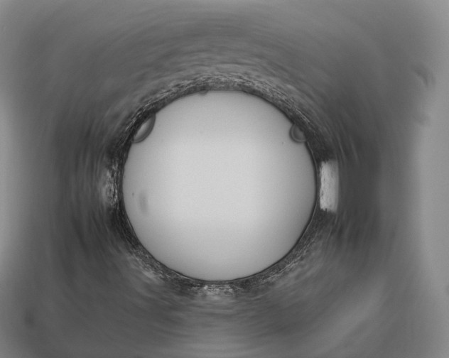 X0000112931491200909071022