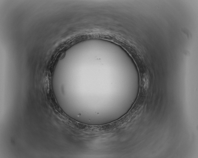 X0000112931493200909071022