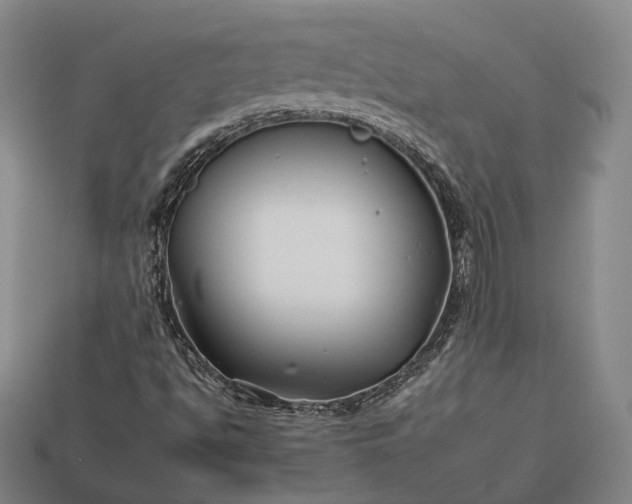 X0000112931494200909071022