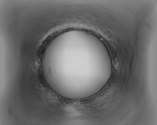 X0000112931495200909071022