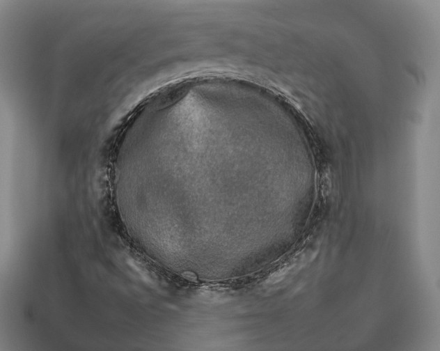 X0000112931496200909071022