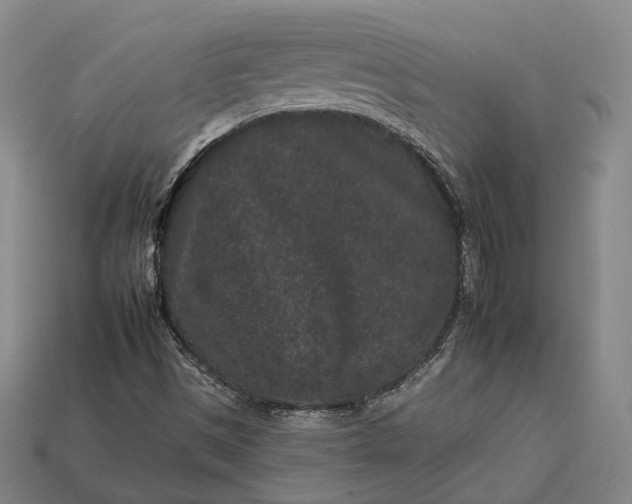 X0000112931497200909071022