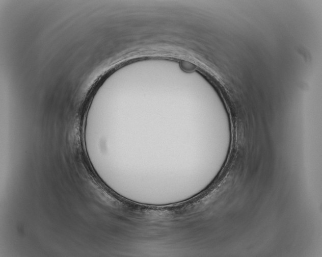 X0000112931498200909071022