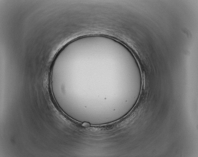 X0000112931500200909071022