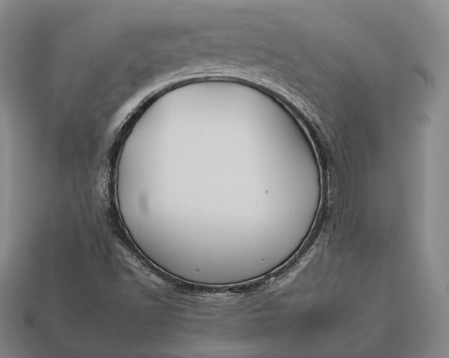 X0000112931502200909071022