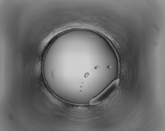 X0000112931503200909071022