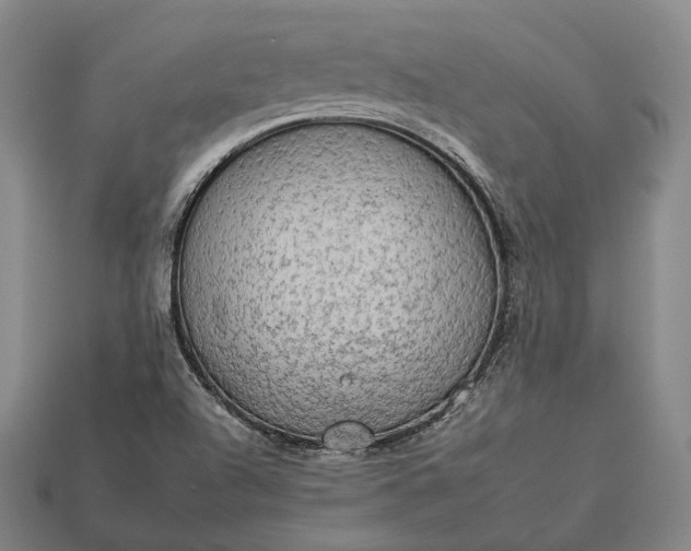 X0000112931504200909071023