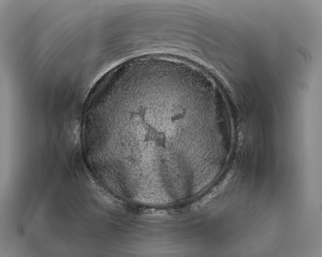 X0000112931505200909071023