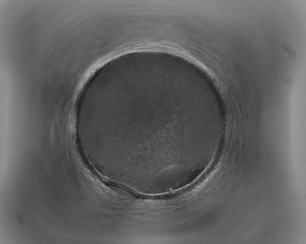 X0000112931506200909071023