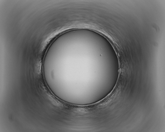 X0000112931507200909071023