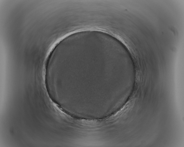 X0000112931508200909071023