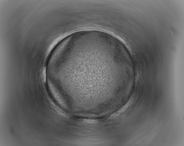 X0000112931509200909071023