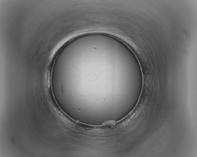 X0000112931510200909071023