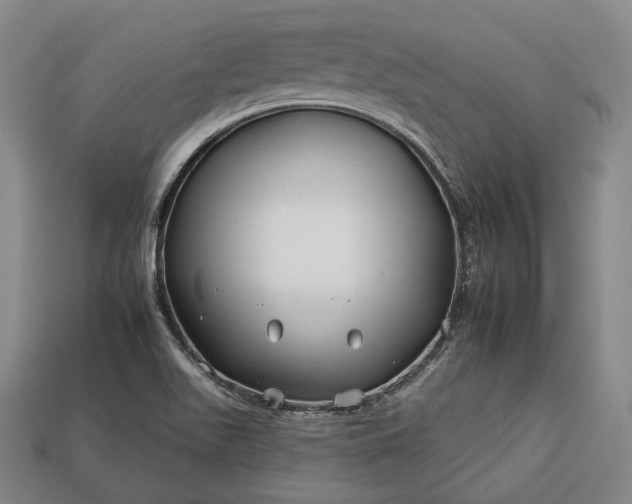 X0000112931511200909071023