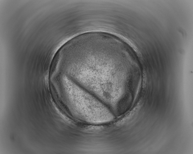 X0000112931513200909071023