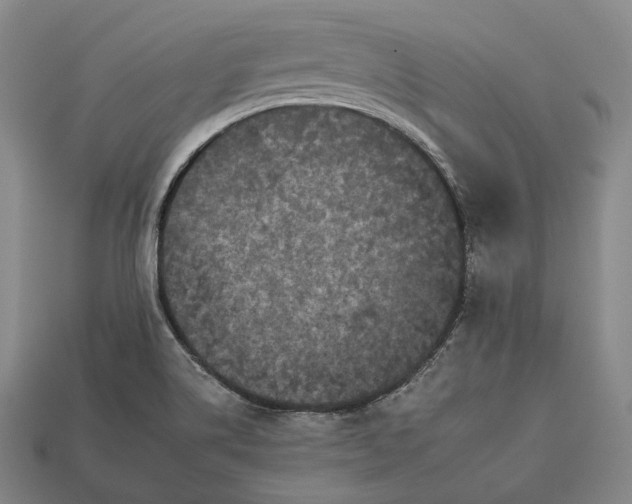 X0000112931514200909071023