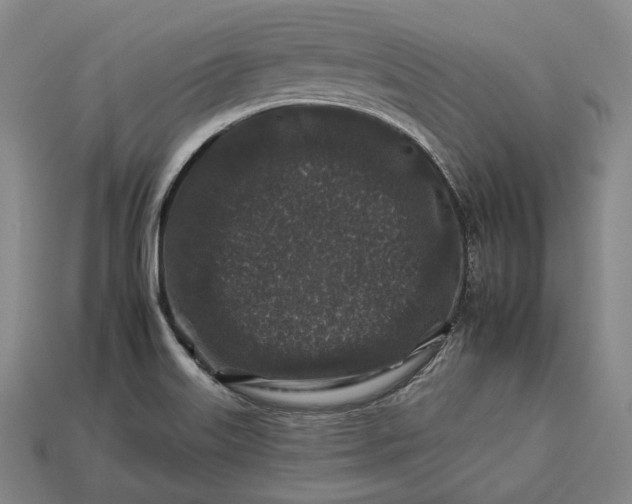 X0000112931515200909071023