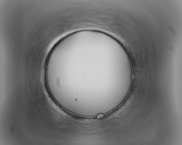 X0000112931518200909071023