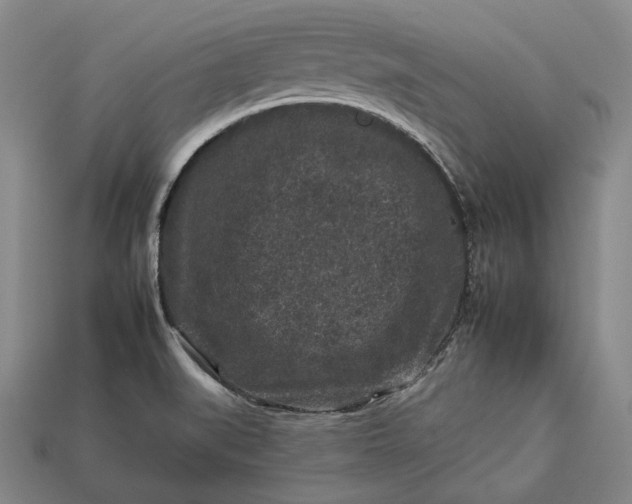 X0000112931519200909071023