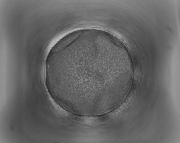 X0000112931520200909071023